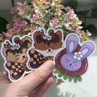 Stickers Fraise/Chocolat